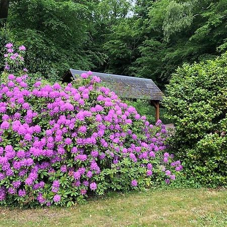 "La Homerie" Chaumiere En Pleine Nature Savigny-en-Sancerre Exterior foto